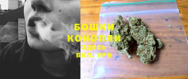 дмт Богородицк