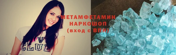 прущие грибы Беломорск