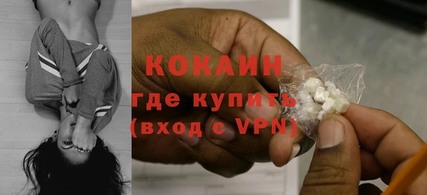 прущие грибы Беломорск