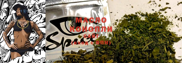 индика Балахна
