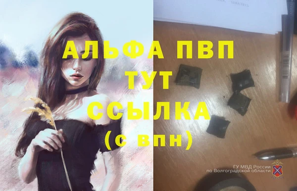 прущие грибы Белоозёрский