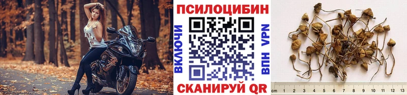Галлюциногенные грибы ЛСД  Великие Луки 